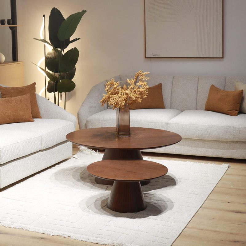 ENSEMBLE DE 2 TABLES BASSES CONE — photo 2