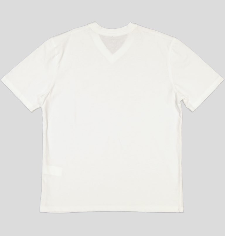 TSHIRT HOMME 100% COTON COL V — photo 5