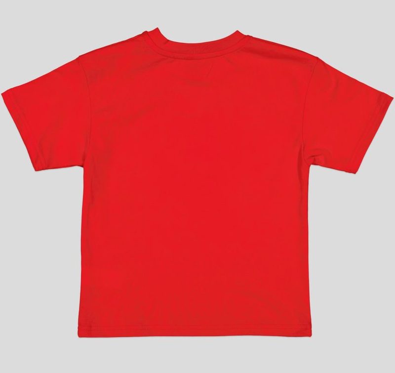 T-SHIRT GARCON MANCHE COURTE 100 % COTON — photo 5